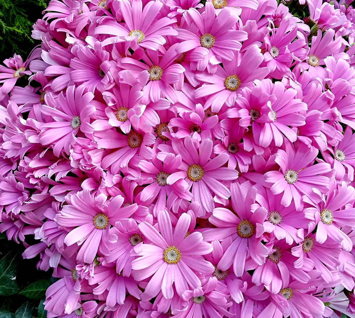 【美しい💗テンション上がる🍀🌺🎵】just beautiful💕