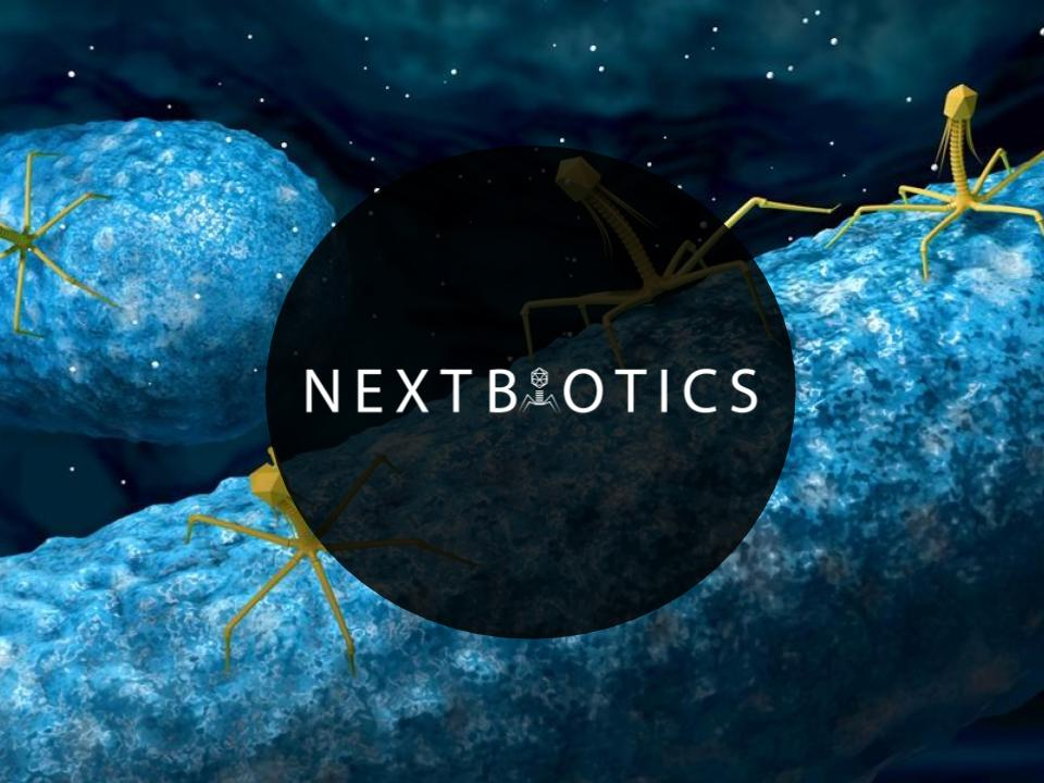 nextbiotics's tweet photo. Superior phages.
.
When comparing our technology to the antibiotic alternatives in the market, Nextbiotics phages perform significantly better than the alternatives.
.
.
#phages #bacteriophages #phagetherapy #microbiology #startup #biotech #antibioticalternatives #nextbiotics https://t.co/MlrPuHlhjP
