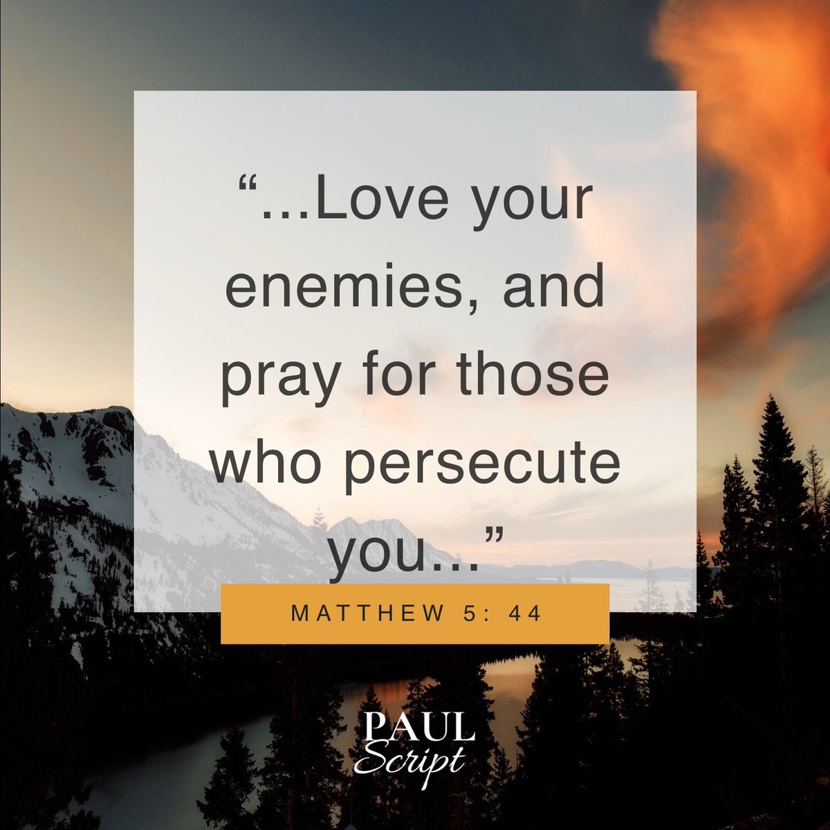_officialSPUM's tweet photo. #PAULScript: “The Lord is kind and merciful.” ⚜️
#SPUManila https://t.co/jWj3TVaX5z