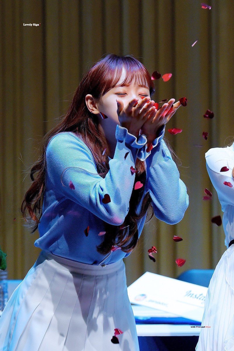 loona and flower petals