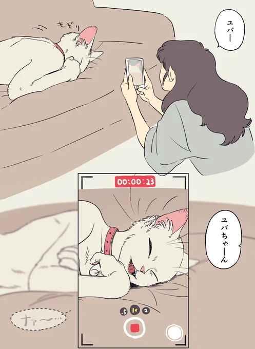 弟に撮ったら必ず送れと言われてそう 