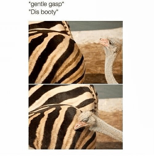 Me every 3 sec looking at butt reference s : 