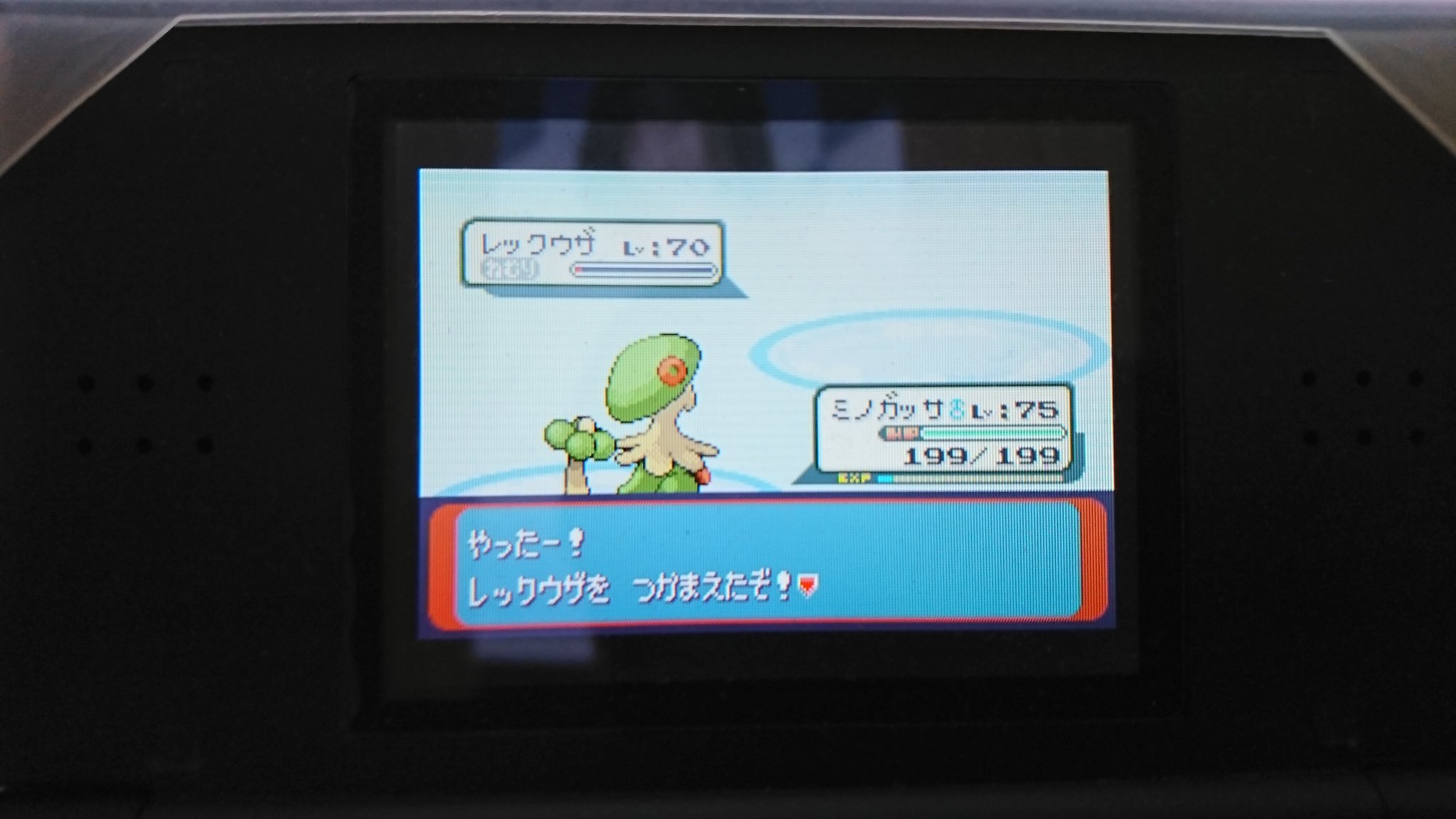 Jetworld Live Runner 22 エメラルド産色違いレックウザ自然遭遇ゴージャスボール T Co Mjya5fogix Twitter