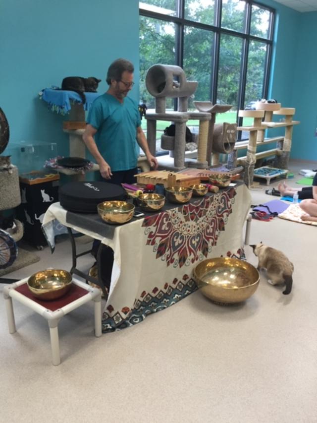 Good Mews tweet media