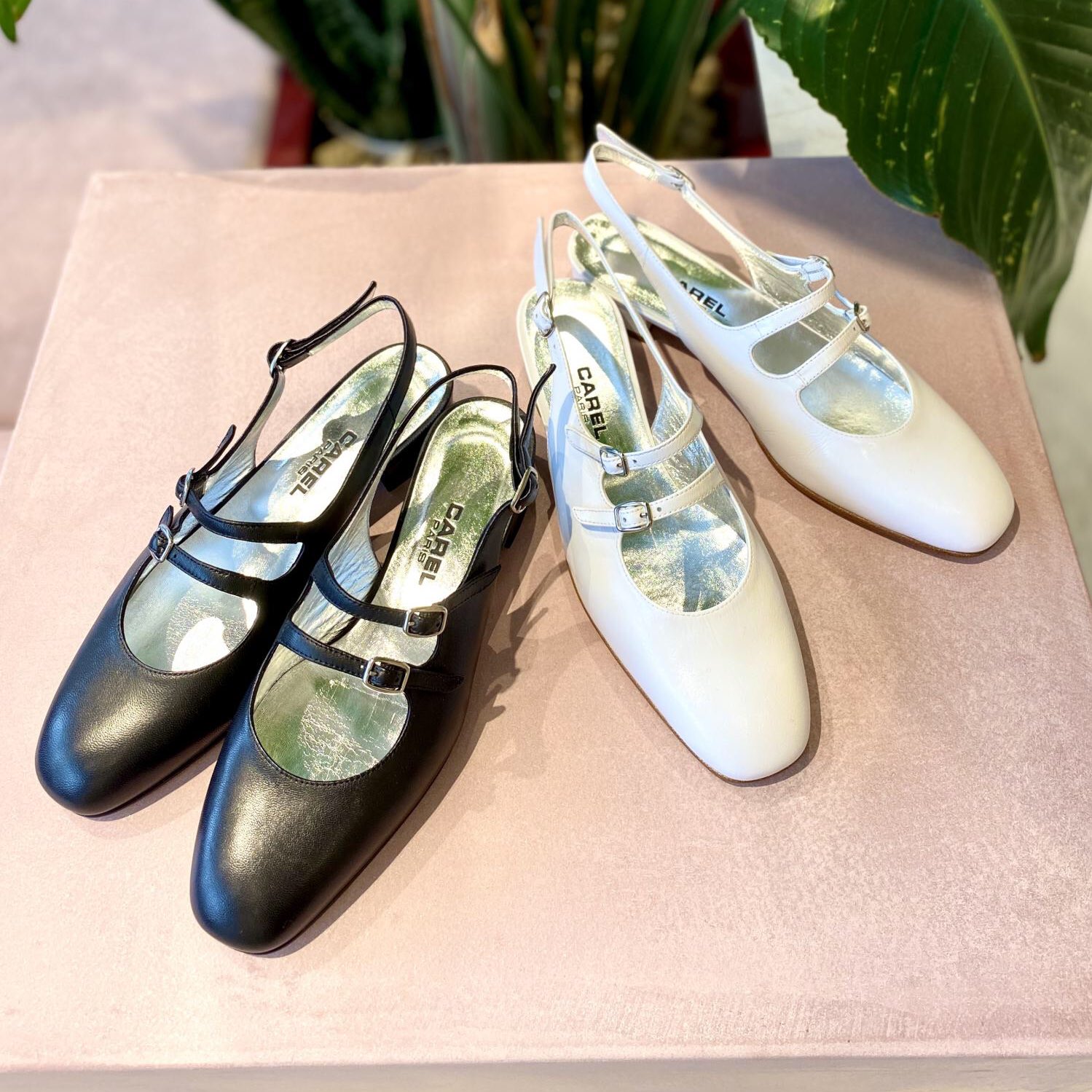 ｳﾙﾄﾗｼｬｲ 昨日恵比寿のアダムエロペにあった Carelちゃん