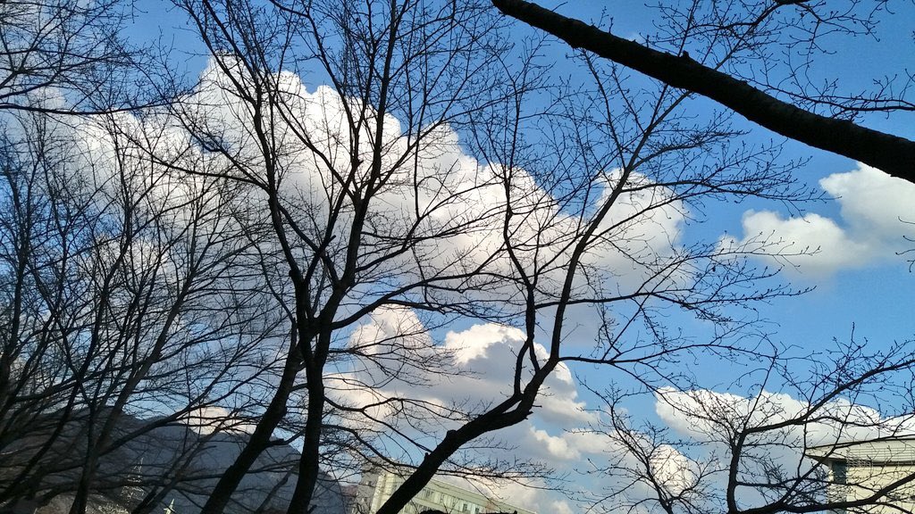 khss101's tweet image. 살며 풀어 놓았던 말
연기라 거두어
들이는가
입가 쪼글쪼글한
주름의 힘으로 눈 지그시감고
영혼에 뜸을 뜨고있는
노파에게
거기는 금연구역 이라고

🌿🌼차마 말할수 없었다/ 함민복