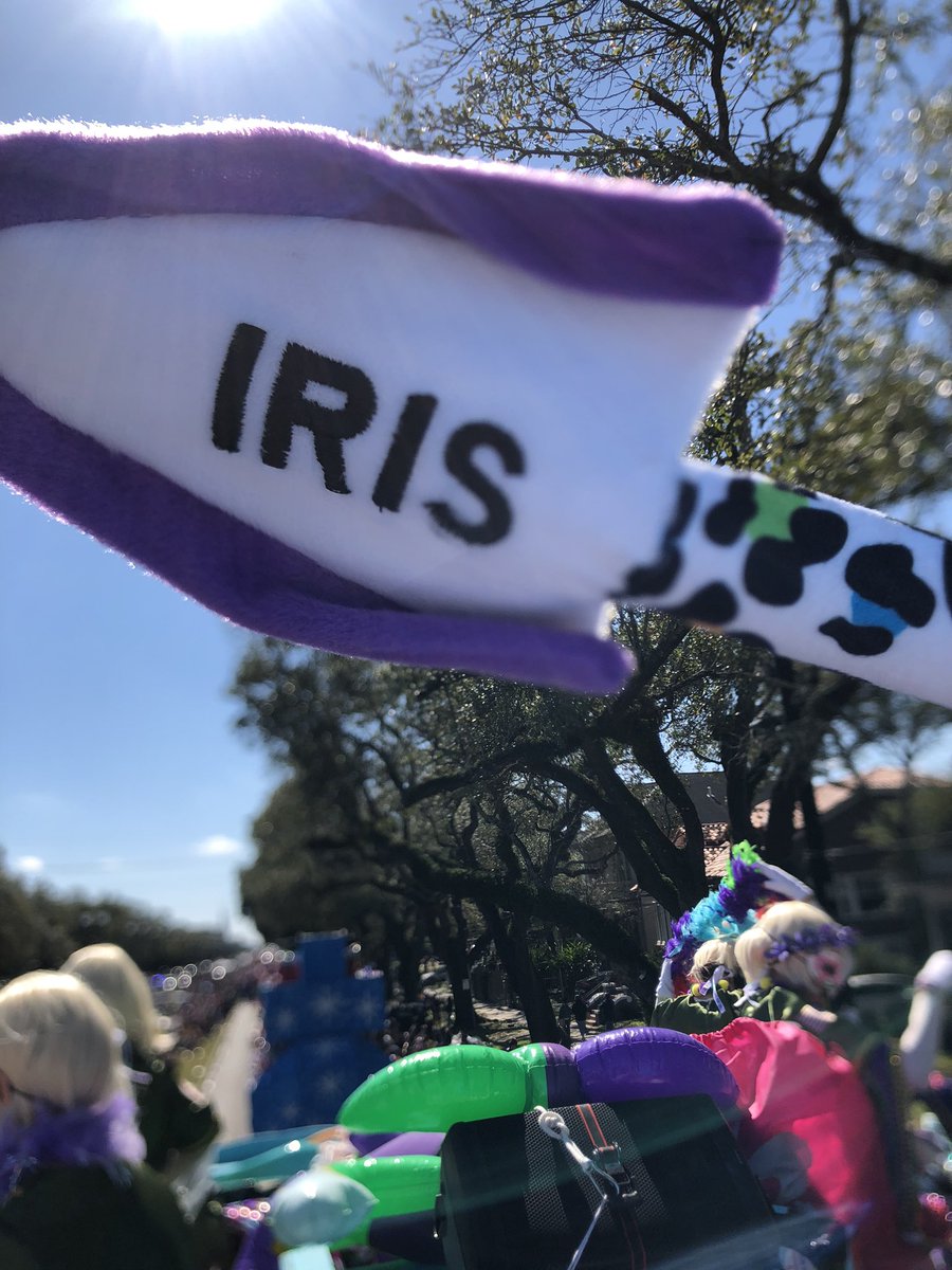 Goodnight, NOLA. You were beautiful today! #MardiGras2020