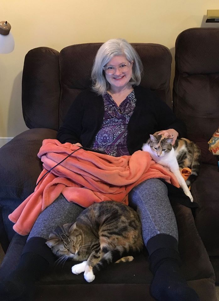 Good Mews tweet media