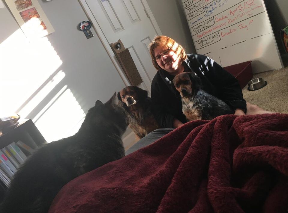 Good Mews tweet media