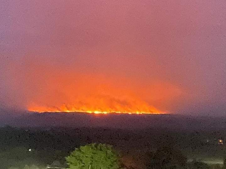 Col_Informa's tweet photo. #MedioAmbiente | 🚨 A esta hora incendio en #CañoCristales en #LaMacarena, departamento Meta.

Presidente Iván Duque principal responsable de la catástrofe social y ambiental. 

El campo sin campesinos existe sin existir. #ParquesConCampesinos @ParquesColombia https://t.co/0MyGOaRwWg