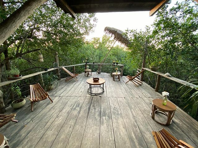 juancelias2's tweet photo. Jungle House | Terrace
.
.
.
#jungle #house #junglehouse #tulum #lifestyle #mexico #travel #traveler #traveling #travelinfluencer #mexicotravel #tuluminati https://t.co/rofufnX2cG https://t.co/nvugSHyaaJ