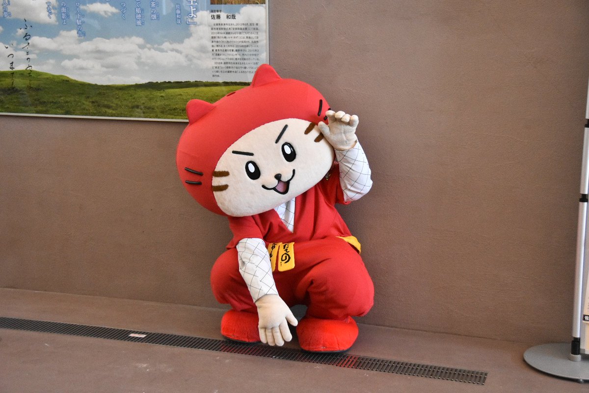 にゃんにゃん丸 ERbQJpRVUAAEBqk.jpg