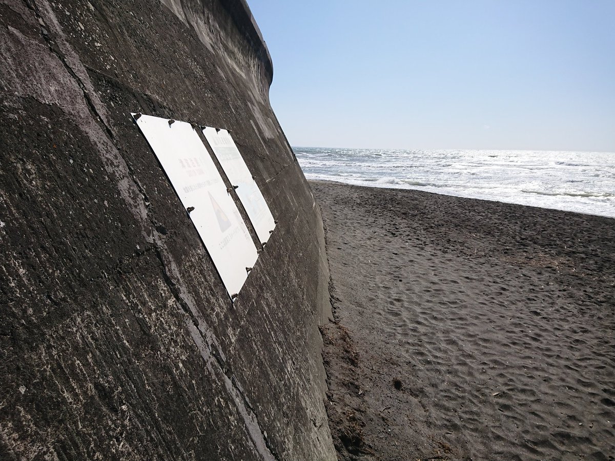 しょうまい@青ブタ好き tweet media