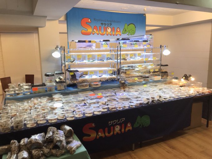 Sauria守口店 S Recent Tweets 7 Whotwi Graphical Twitter Analysis Sauria守口店 S Recent Tweets 7 Whotwi Graphical Twitter Analysis
