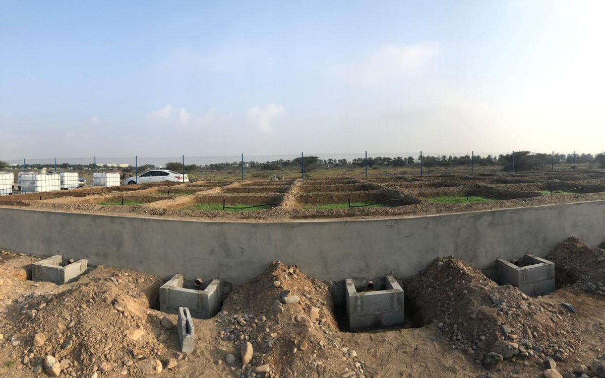 Team meeting at field trial of Shell Sulfur project at SQU AES <a href="/SWAE_Group/">SWAE_GROUP</a>