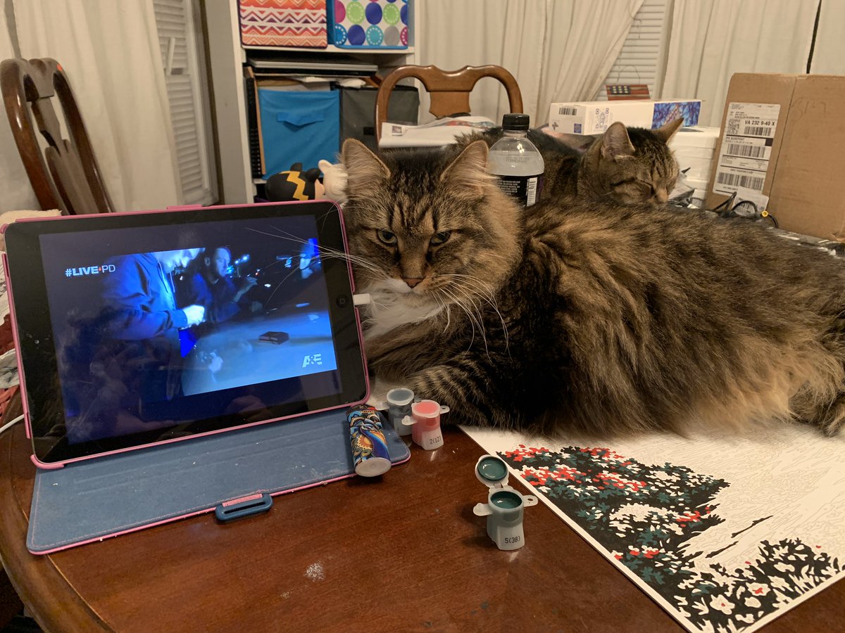 Divideline's tweet photo. My watch party #LivePDNation #LivePDWatchParty https://t.co/2zm2rNZSrp