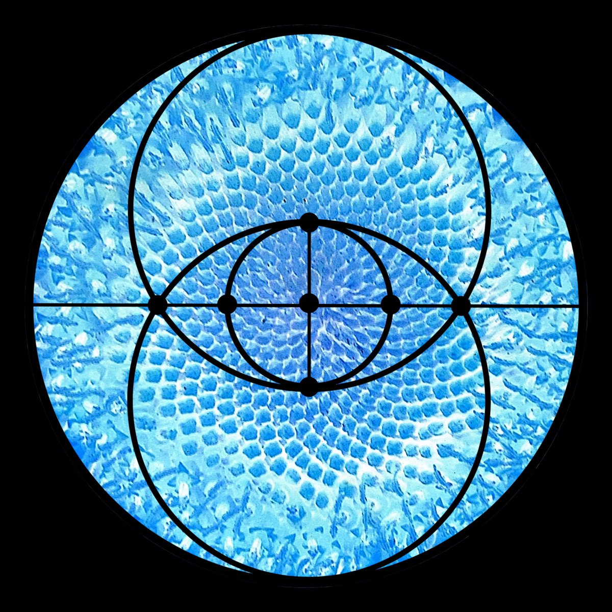 alchemyintel's tweet photo. @alchemyintel #innercircle clues are starting to show up in weird places. Although there will be #prizes along the way, the real prize will be #learning. #codebreaking #datascience #MYSTERY #escaperoom #cicada3301 #aperfectcircle #⭕️ https://t.co/JDkumvx0Ad