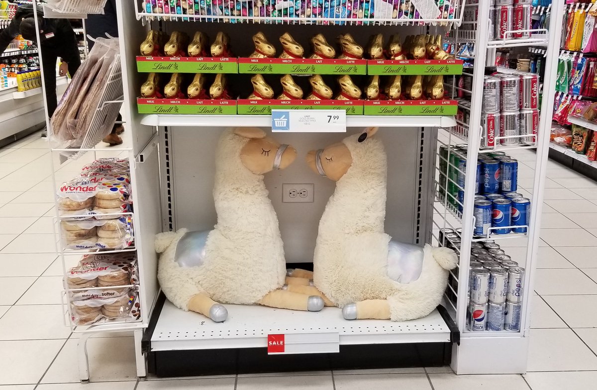 HfxLunch tweet media