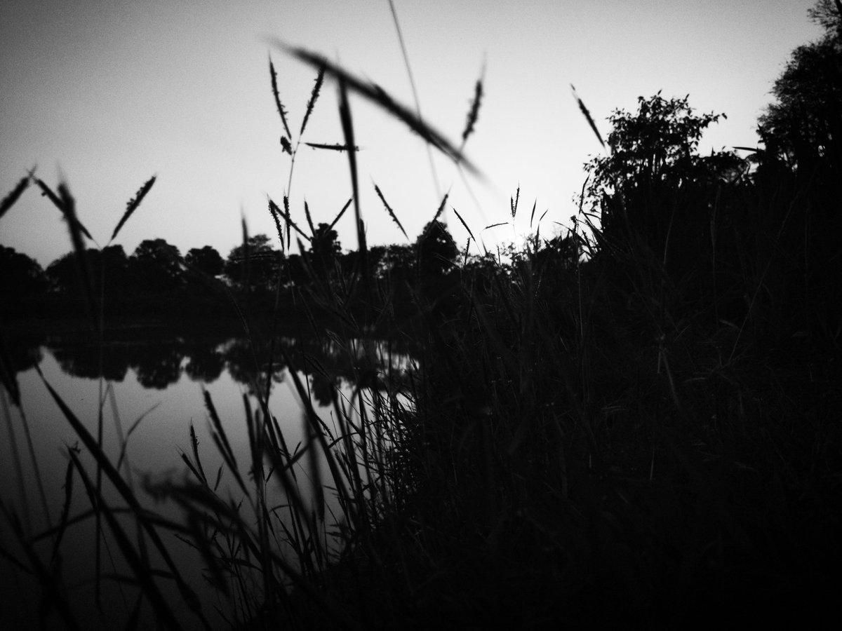 shahF777's tweet photo. Good morning Aamirians
Happy Sunday 
#laalsinghchhadha #bwphotography #NaturePhotography #visualheaven #f_a7kb https://t.co/FQWjOACfws
