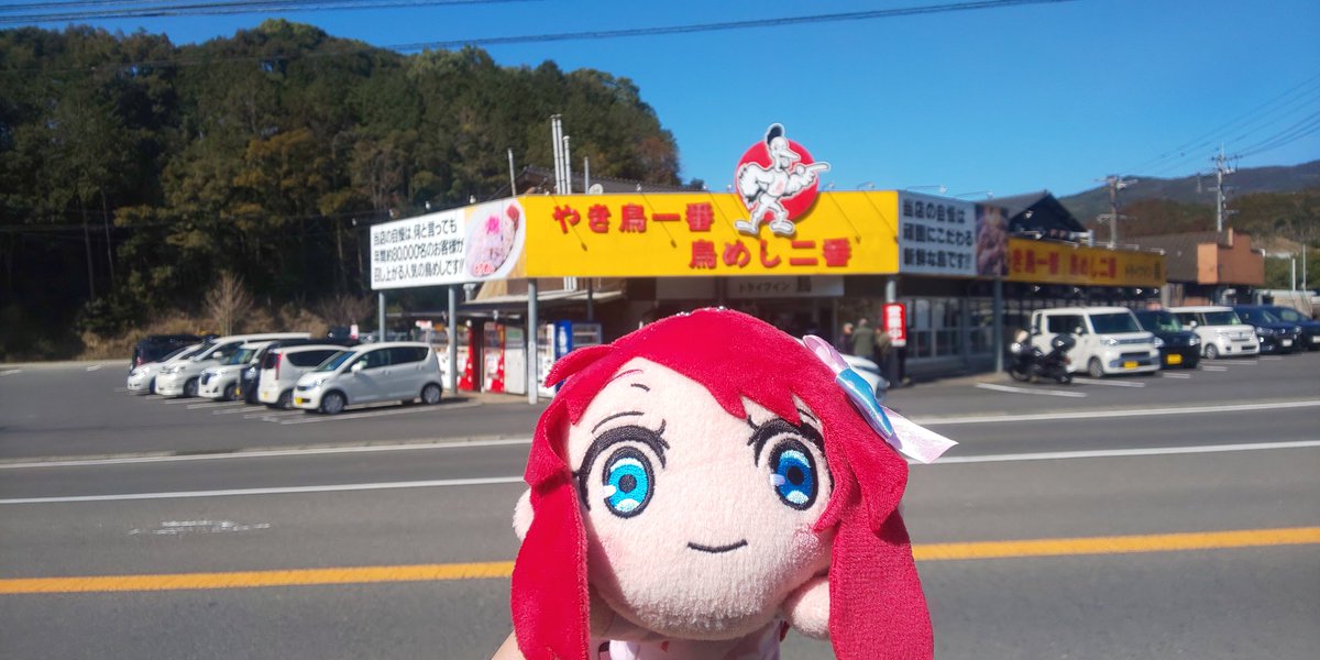 どやんす