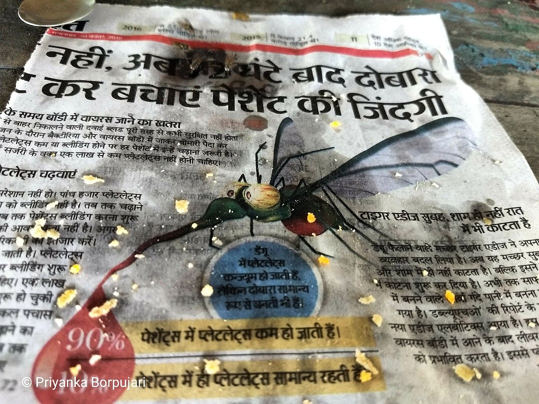 Midday snack: samosa.Samosa serving plate: newspaper.Newspaper news: dengue & Diptera (mozzies, houseflies).Snacking company: houseflies.Sukhani, Bihar.Yeah, I know, we're all connected, and all that jazz. #KeepingItReal on the  @outofedenwalk with  @PaulSalopek  #EdenWalk