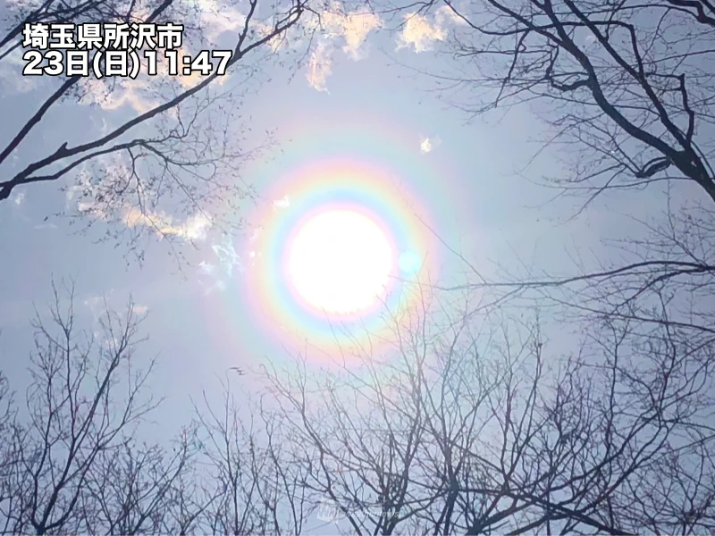 太陽の虹色のきれいなバックを見たら花粉症の人は要注意それは「花粉光環」