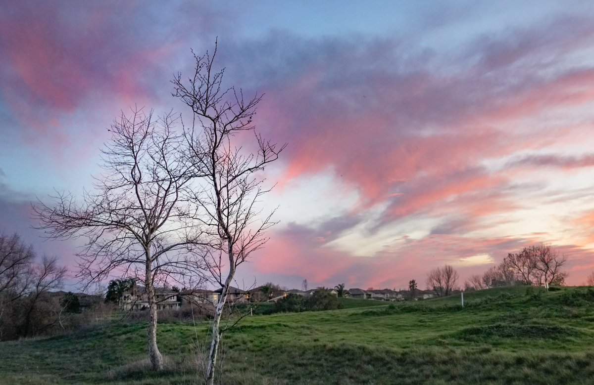 dudney_joan's tweet photo. Sunsets transform even the quotidian stroll through the neighborhood:) #davislife #grateful https://t.co/GznUt44Ayl
