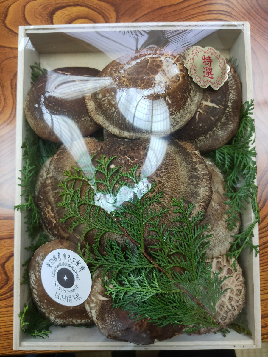 undermasuno's tweet photo. 知多市梅まつり、寒い中ありがとうございました！今年も頂きました知多市のしいたけ！今年もでかい！
一瞬エイかと思いました。
#知多市　#しいたけ屋平松　#梅まつり https://t.co/8QmbpWsrtP