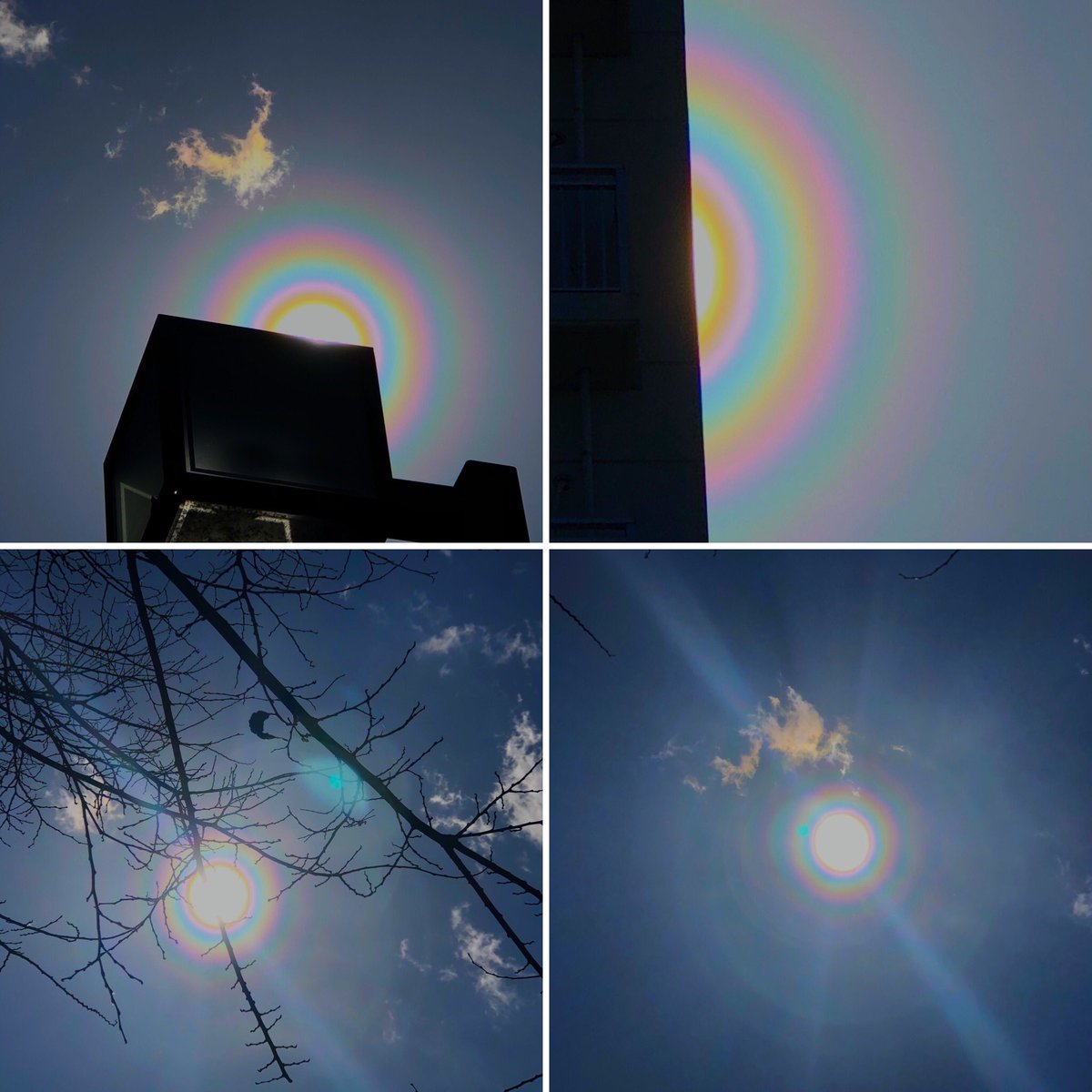 太陽の周りに虹色の環 すごくきれいな気象現象だけど 花粉症の人超逃げて なやばいサインなので注意して 花粉光環 Togetter