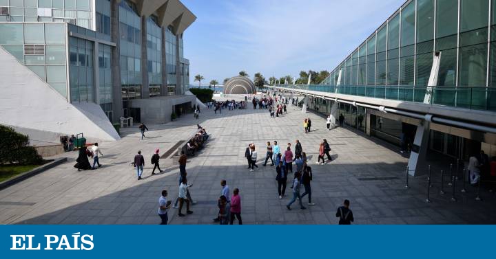 Alejandría recupera el trono del conocimiento dlvr.it/RQZ9mP