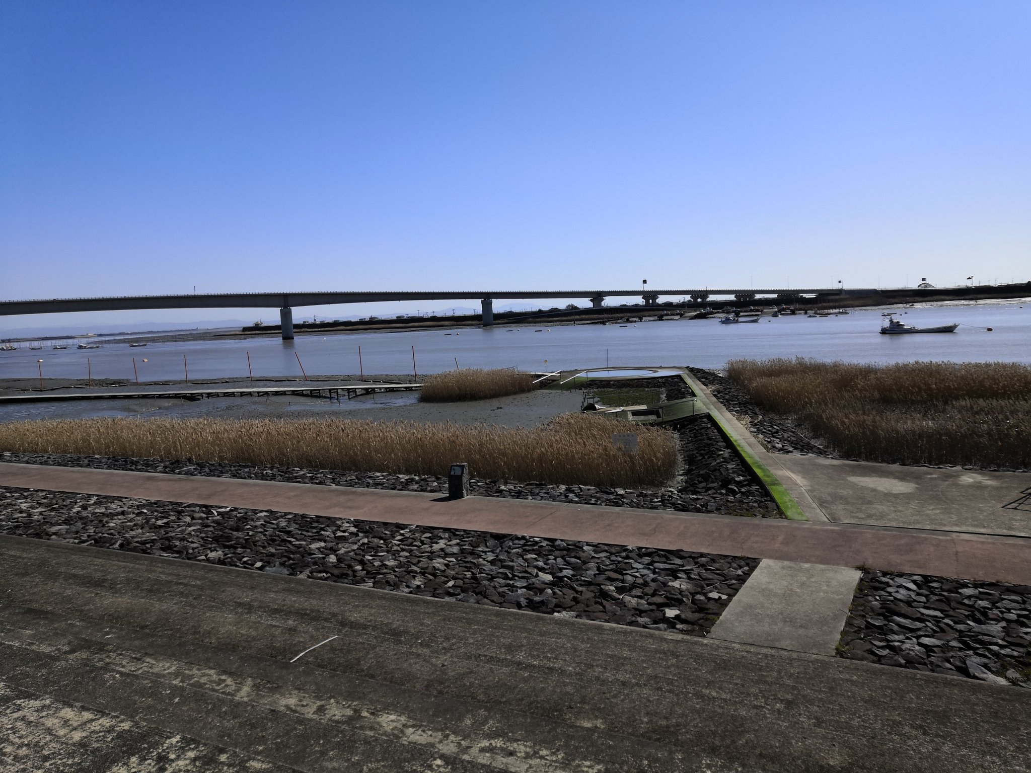 とむ 吉野ケ里遺跡から有明海方面のムツゴロウ公園きたけど 予想以上に何も無いw ムツゴロウも越冬の時期でおらんやろうと思ったら 暖かいせいか数匹顔を出しとった ﾟ ﾟ バイク ツーリング 吉野ケ里遺跡 ムツゴロウ公園 ムツゴロウ