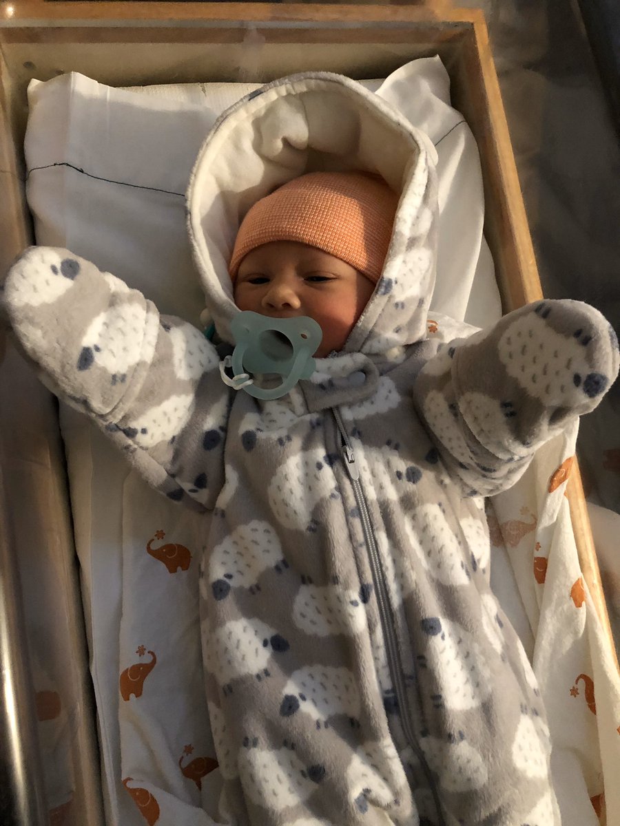 lorelaiiann's tweet photo. i’ve never been more in love with something in my life https://t.co/MBtLdQTGwQ