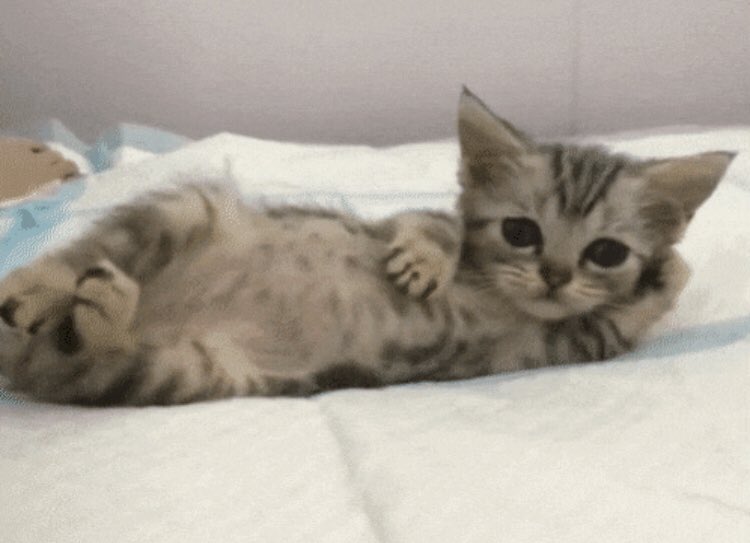 เอ่อออ อินจุนคะ