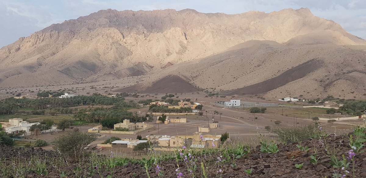 NASERALJSSASI's tweet photo. نعم نقول #أوقفوا_تصاريح_قص_جبل_علان وآن الأوان أن تكون جبال #عُمان من أقصاها إلى أقصاها ثروة وطنية تدار وطنيآ مثل النفط والغاز وتدخل في اقتصاد الوطن بشكل أساسي ولعامة الشعب نصيب منها في التوظيف وتنمية المجتمع تعليمآ وتطويرآ شرط عدم الاضرار بصحة البشر وبالحياة البيئية والزراعية. https://t.co/EJRqjh4VlE