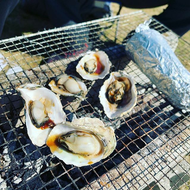 かきくうかき祭り Twitter Search Twitter