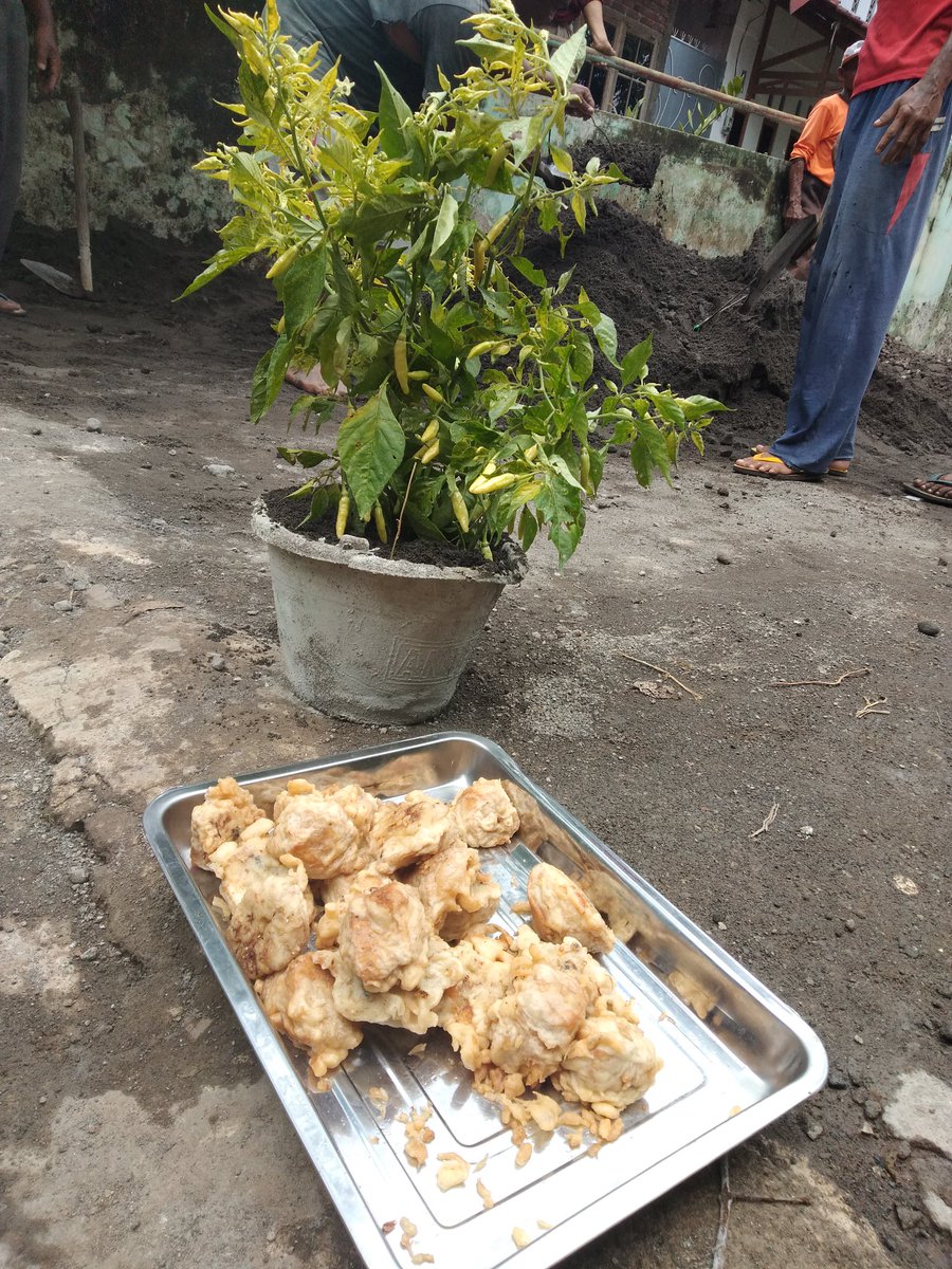 Gotong royong is kampung itu enaknya gini, makan gorengan cabe nya metik sendiri #minggupagi #ambyarrrr