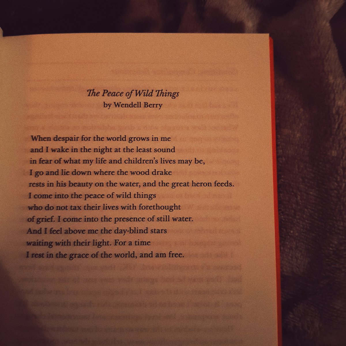 • the poetry pharmacy (& finding out that  @CiaraMulherin shares my love of it) (pictured below)• my giant penguin blanket• parks and rec (my gal Leslie Knope lifts my spirits always)• my own manicure skills• lush cup o' coffee face mask• gogglebox (I love it)