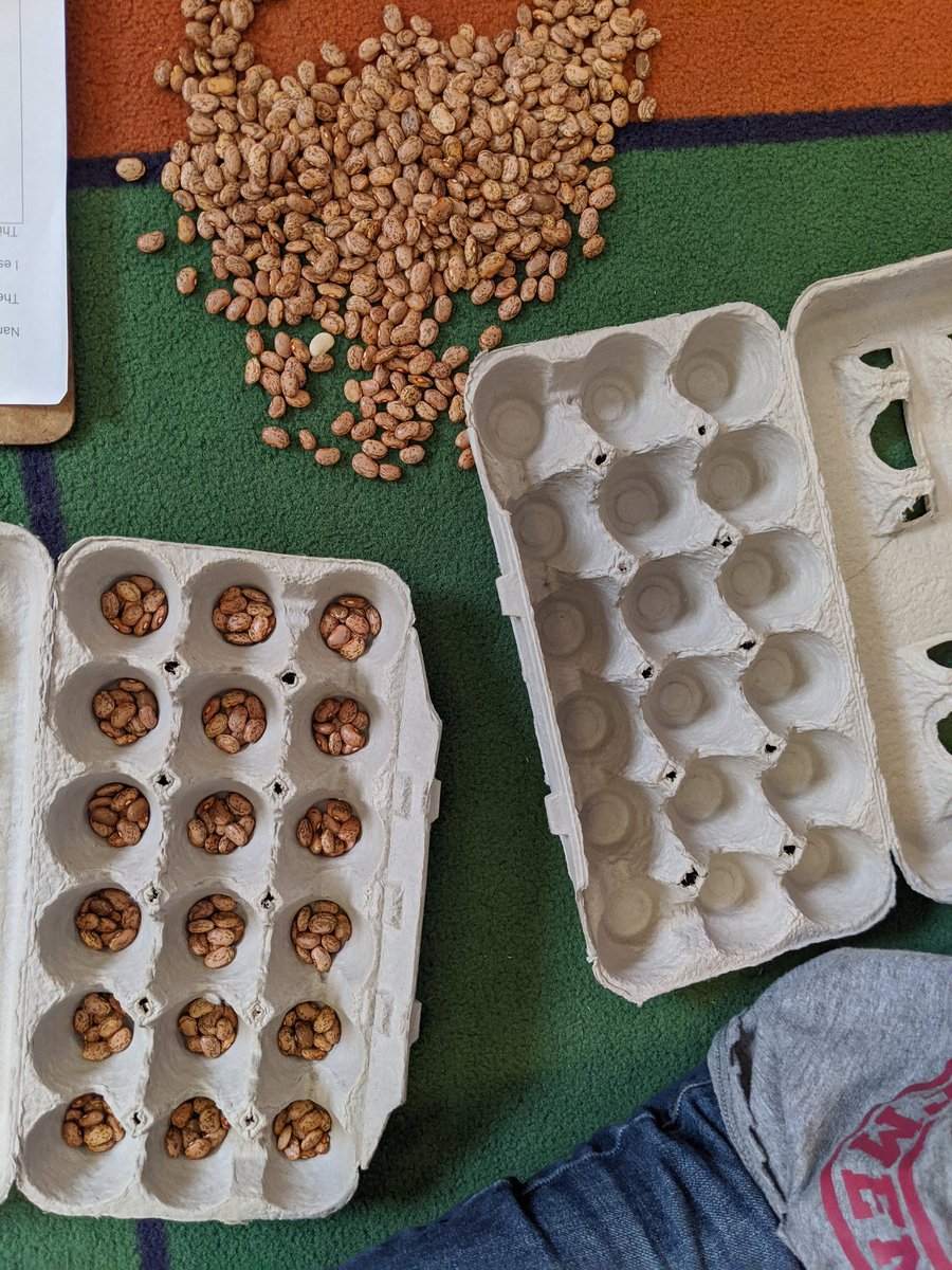 McGuireCarri's tweet photo. 2nd gr #countingcollections with some bigger collections. Learning more about their math strengths and stretches while empowering students by allowing them to plan,  organize, communicate, and count THEIR way. #MTBoS https://t.co/y1eYDkKAzv