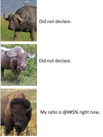 adamTford's tweet image. #AlbertaZoology 
#BuffaloDeclaration
#JustBisonProblems
