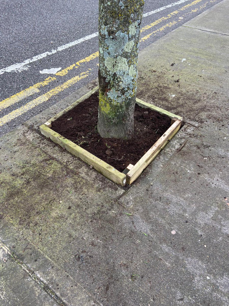 MadAboutCork's tweet photo. Volunteers created pollinator friendly planting areas around the trees on Pope's Quay
yesterday.🌱🐝
Already similar done on Kyrl's Quay with great results in last few years. #guerrillagardening https://t.co/hAzW1bC5jZ