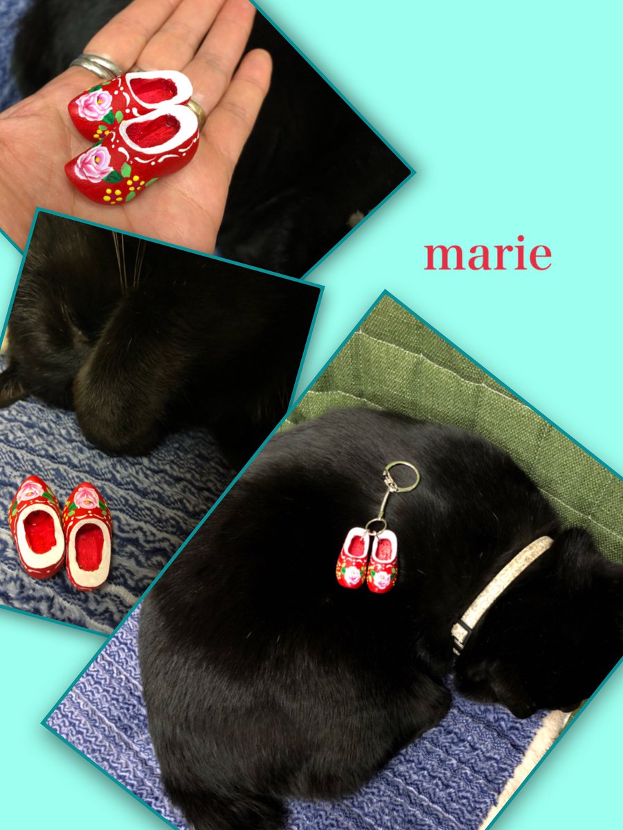 木靴 Twitter Search