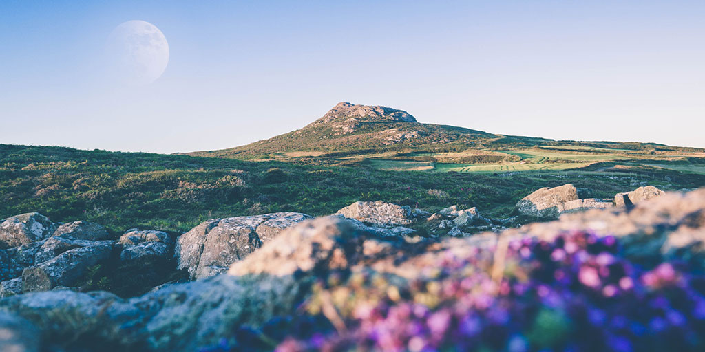 The mornings are getting brighter, flowers are beginning to bloom. There's no better time to explore nature at its finest 🌷

With rooms from £29 at YHA The Sill at Hadrian's Wall, what's holding you back? ow.ly/Axtu50yqcfA

#YHA #LiveMoreYHA #Spring #Offer