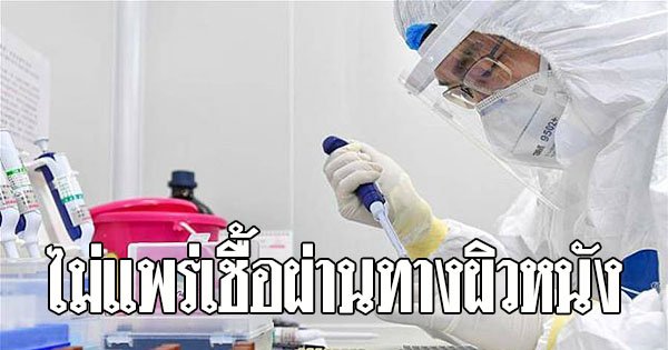 bs5481123923's tweet photo. ผู้เชี่ยวชาญจีนชี้ไม่พบหลักฐาน ‘โควิด-19’ แพร่ผ่าน ‘ผิวหนัง’
#โควิด19 #โคโรน่าไวรัส #โควิท19 #โคโรน่า #โคโรนา #โคโรน่าไวรัส2019 #COVID #Covid_19 #COVIDー19 #COVIT19 #CoronaViruesue #CoronavirusOutbreak #ข่าวจริง  #ข่าวใหญ่ #โคโรนาไวรัสสายพันธุ์ใหม่2019
https://t.co/8EyhYYcSec https://t.co/h1pGD1d0qp