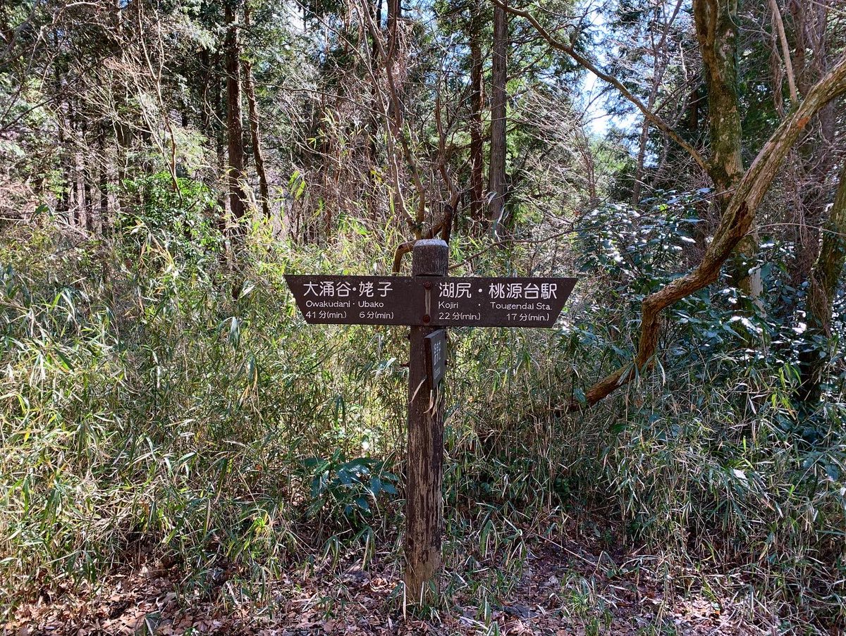 GuillaumeDavin's tweet photo. It is amazing where your feet can take you. #trailrunning #natureisprecious #hakone https://t.co/rbnSAD0LNn