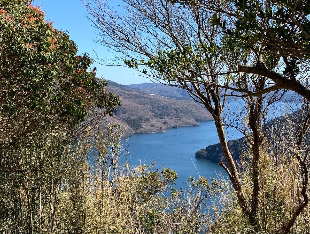 GuillaumeDavin's tweet photo. It is amazing where your feet can take you. #trailrunning #natureisprecious #hakone https://t.co/rbnSAD0LNn