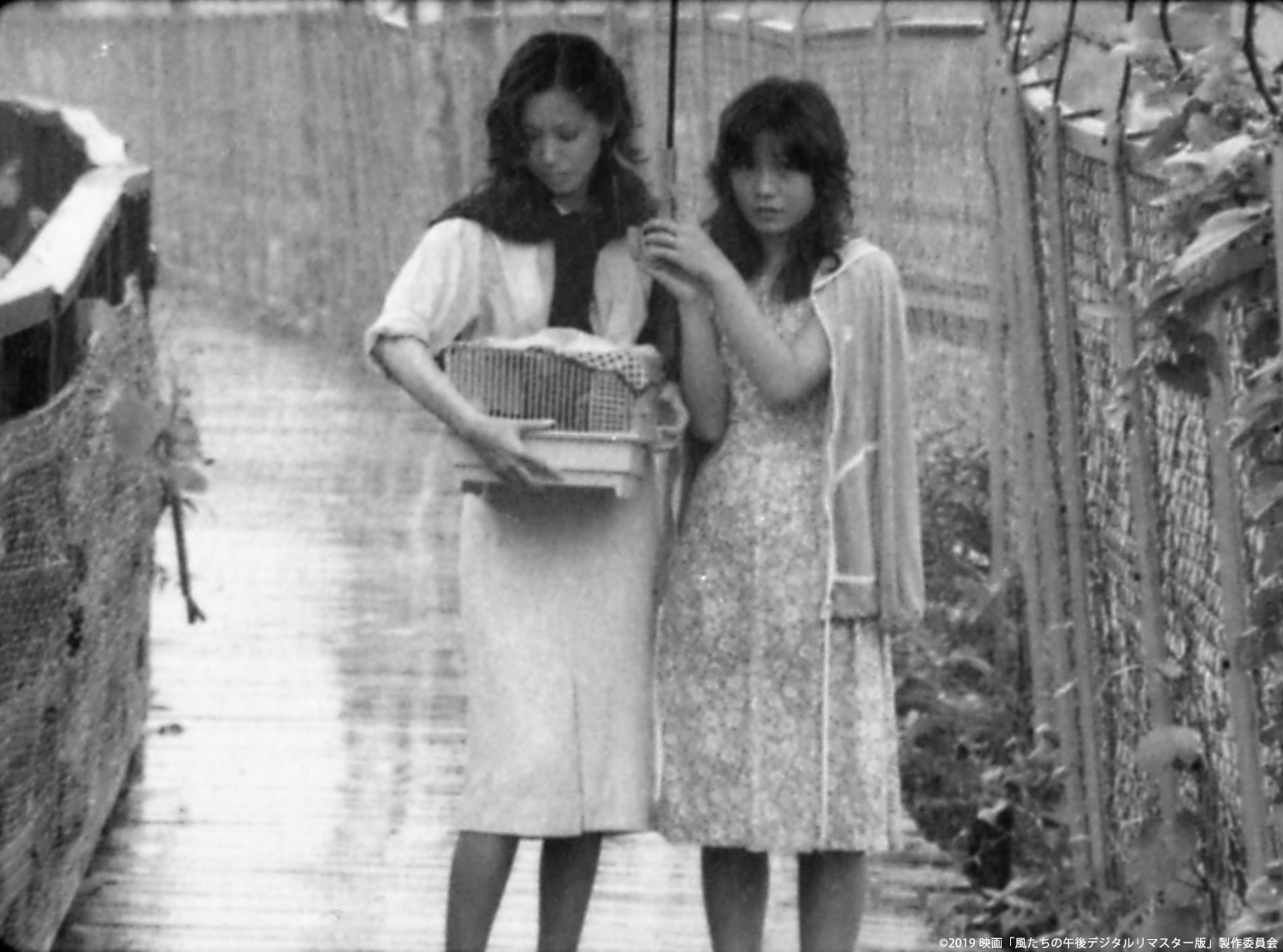 矢崎仁司監督デビュー作『風たちの午後 デジタルリマスター版