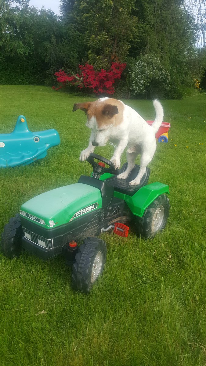 colindog64's tweet photo. Used to love my job in the farm those were the days #farmlife #grafting https://t.co/NW5NqOMDTn