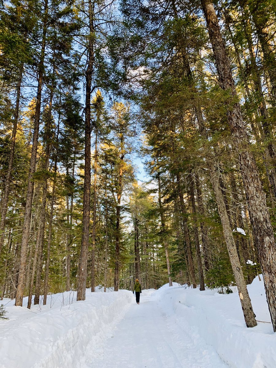 AussieBigDaz's tweet photo. Spent a few hours yesterday back at Trout Brook for the Calvary Baptist Church skating party It was grand๐. But it was hard driving past our old farm. #troutbrook #miramichi #newbrunswick #skating https://t.co/trFFtIzwK0