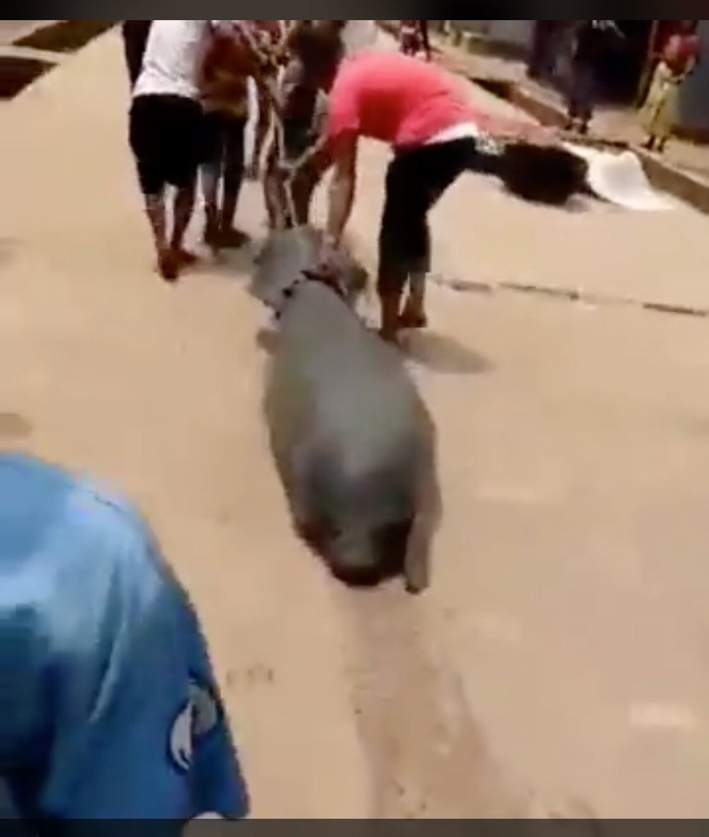 Sharon Ikeazor tweet media