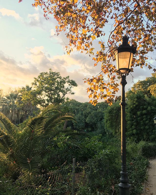 Steps away from The #BarcelonaEDITION, feel at ease in #ParcdelaCiutadella.

📸: @macerieprime

#Barcelonainspira